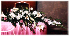 ���d�E