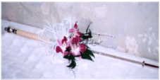 �g�[�`�P