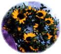 �����O�u�[�P�R