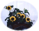 �Ђ܂��